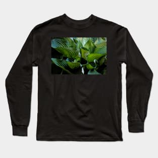 Green Waves Long Sleeve T-Shirt